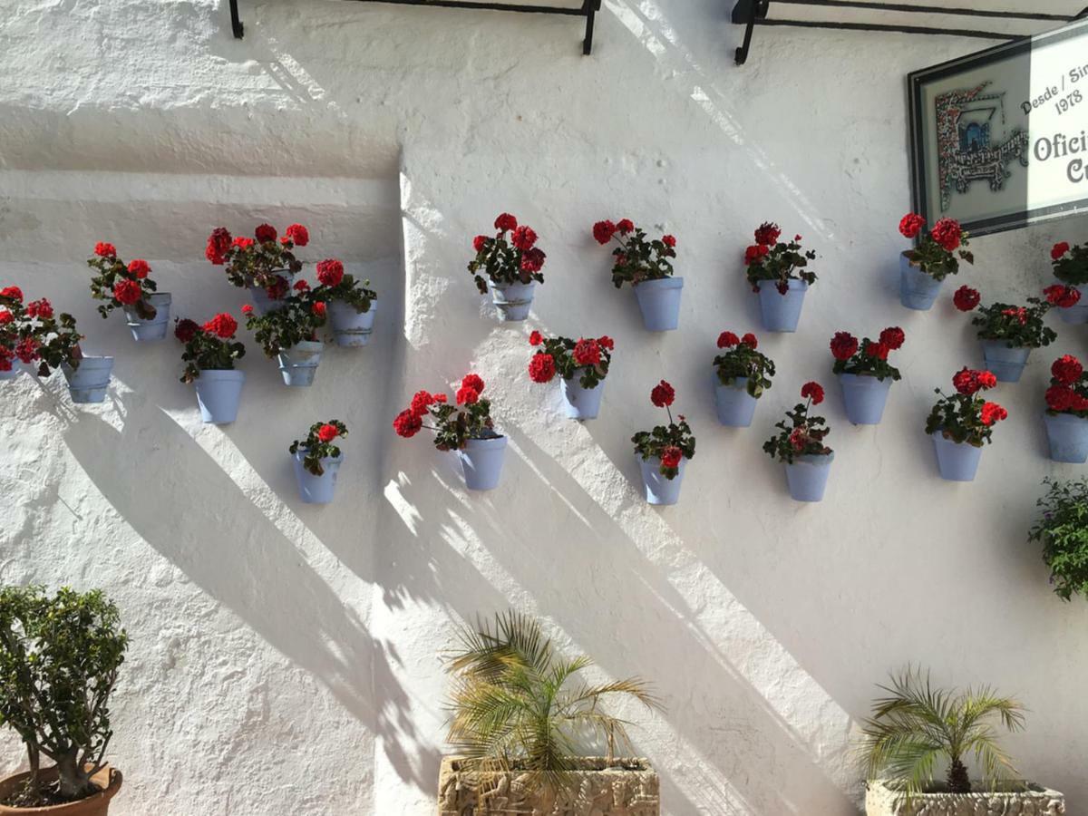 Riscos Appartamento *